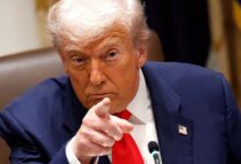 The first year of Trump’s second term: peace, record strikes and the designation of the Muslim Brotherhood