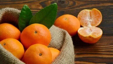 Why clementines should be part of your winter diet