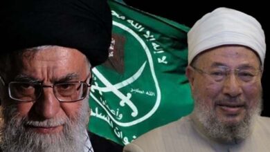 Why do the Muslim Brotherhood see the fall of Tehran as the end of their regional project?