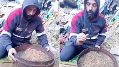 A Box for Bones: In Gaza, a Palestinian Man Gathers His Family’s Remains Piece by Piece