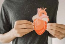 An Artificial Heart to Test Medications Without Risk to Humans