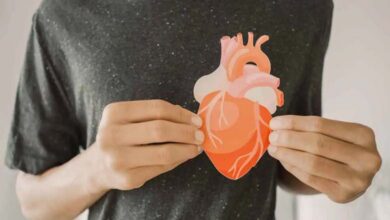 An Artificial Heart to Test Medications Without Risk to Humans