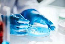 Bacteria Frozen for 5,000 Years: An Emerging Threat in the Era of Climate Thaw