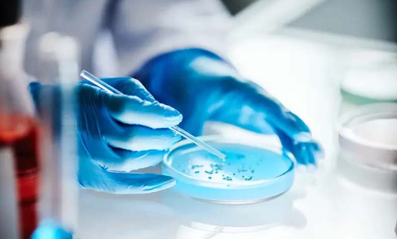 Bacteria Frozen for 5,000 Years: An Emerging Threat in the Era of Climate Thaw