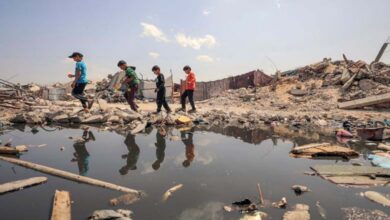 Demographics in the West Bank and Gaza: UN Warning over Israeli Plans