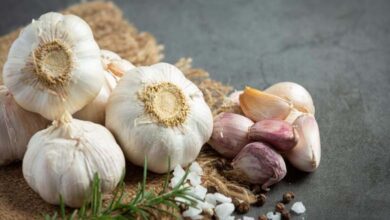 Garlic Supplements and Heart Health: Myth or Scientific Reality?