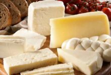 Study: Can Cheese Act as a Shield Against Gallstones?