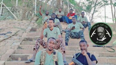 The Field Mobilization of the Muslim Brotherhood in Sudan: The Al-Baraa Ibn Malik Brigade and the Challenge of Influence