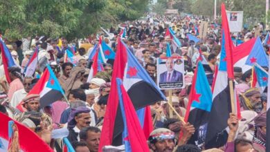 The Million-Man Rally in Al-Dhale: Crowds Renew Allegiance to the Southern Transitional Council
