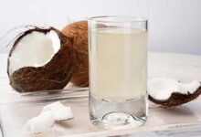 What Happens to Your Body When You Drink Coconut Water Daily?