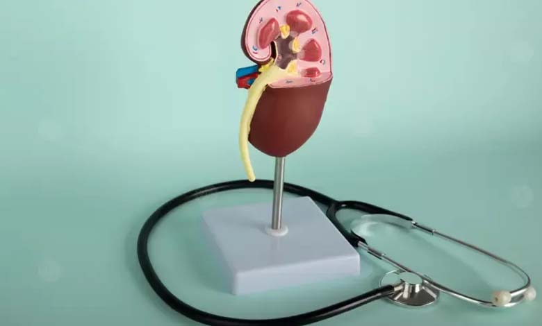 How does high blood pressure silently damage the kidneys?