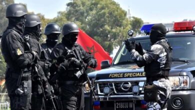 Security cooperation between Morocco and Spain leads to dismantling an ISIS cell