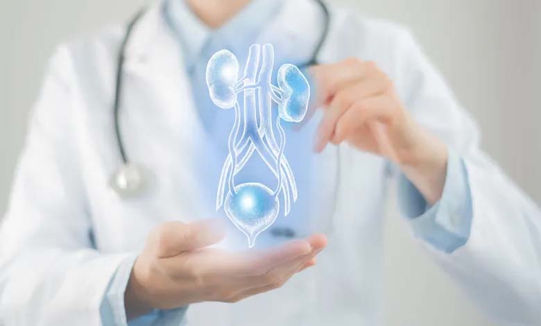 Severe urinary tract infections and their potential role in increasing dementia risk