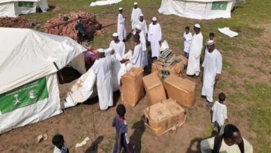 Sudan in the Regional Sphere of Influence: Reports Link Saudi Aid to War and Power Balances