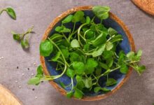 Why is watercress considered the healthiest vegetable in the world?