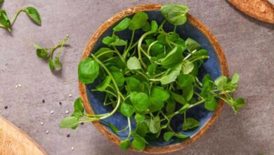 Why is watercress considered the healthiest vegetable in the world?