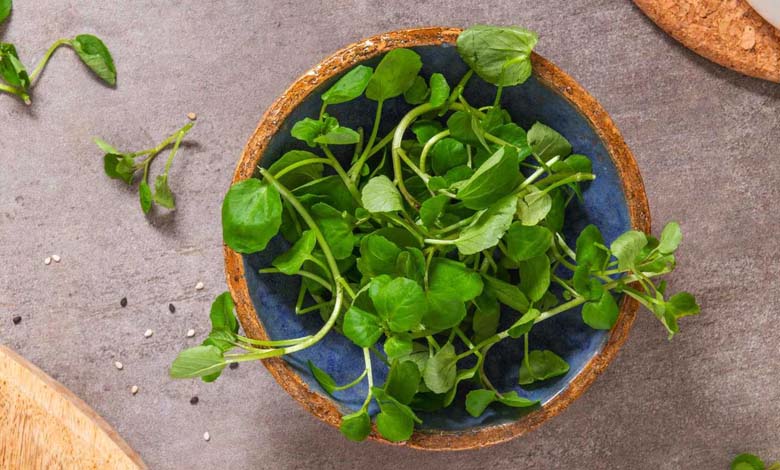 Why is watercress considered the healthiest vegetable in the world?