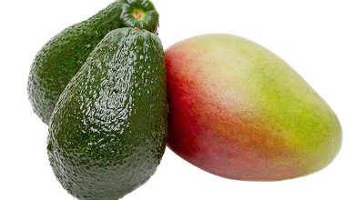 Avocado and mango: a golden duo for cardiovascular health
