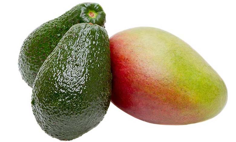 Avocado and mango: a golden duo for cardiovascular health