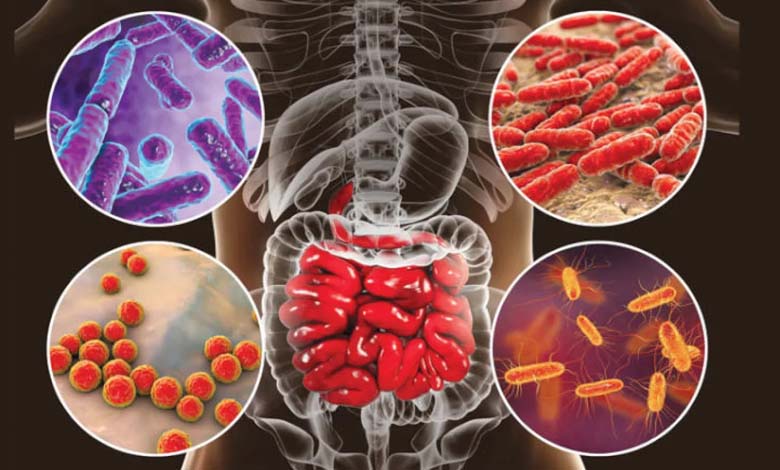 Does your gut microbiome influence your food cravings? Exploring the link between intestinal bacteria and eating behavior