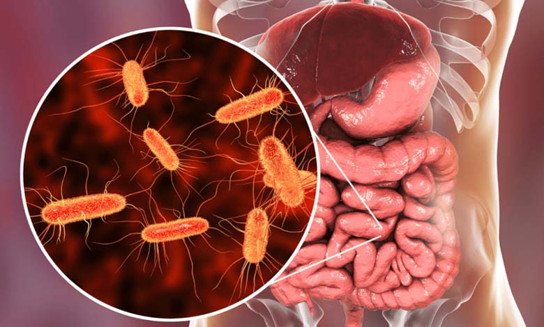 How do gut bacteria influence cravings for sugar and fat? A scientific analysis of the microbiome and its interaction with the brain