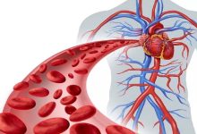 How does oregano support cardiovascular health? An analysis of biological mechanisms and potential effects