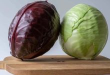 Red cabbage or green cabbage: which is better for gut health?