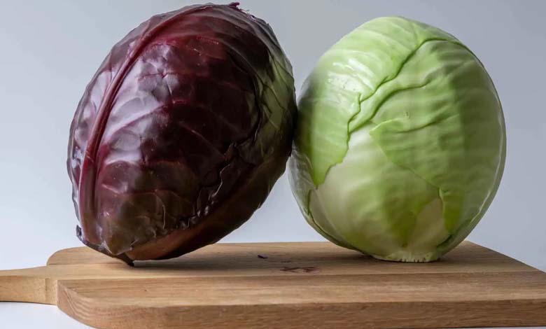 Red cabbage or green cabbage: which is better for gut health?