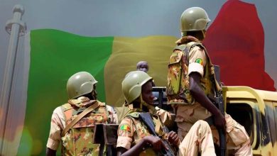 Terrorism map in Mali: seven organizations and intertwined networks