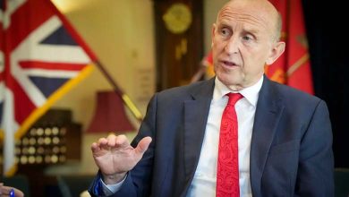 The United Kingdom fears cyber strikes : a warning cry and a margin for prevention