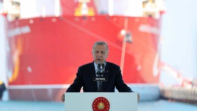 Turkey seeks an international umbrella to secure the Strait of Hormuz