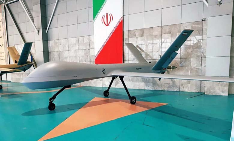Ukrainian Sting disrupts Shahed: the weapon of the poor defeats Iranian drones