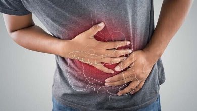 What happens inside the gut during an irritable bowel syndrome flare-up? Understanding physiological and neurobiological mechanisms