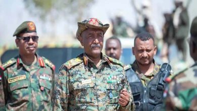 Alliance of strategic necessity: the Egyptian–Turkish axis as a central pillar of Sudanese army operations