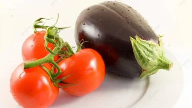 Do tomatoes, eggplants, potatoes, and peppers really cause inflammation?