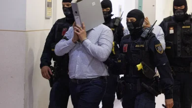 ISIS Militant Sentenced to 15 Years in Prison, Closing Case of Taylor Swift Concert Attack Plot