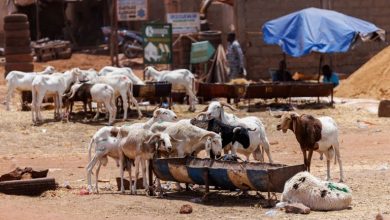 No Tabaski in Bamako: terrorism steals the joy of Eid in Mali