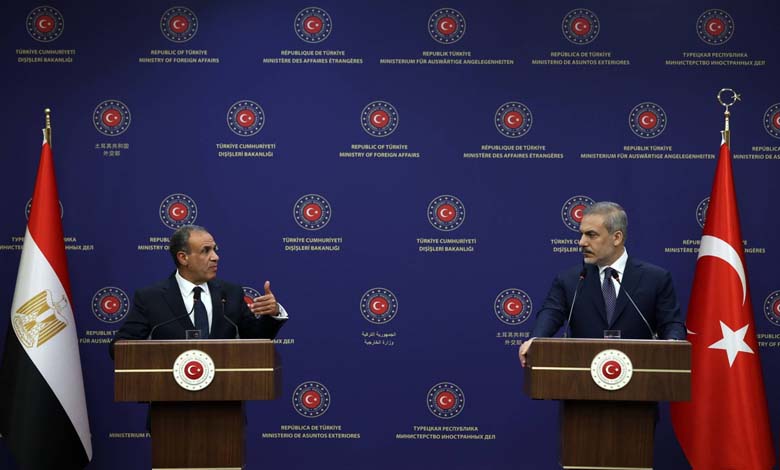 The Egyptian–Turkish axis in Sudan: convergence of interests and the formation of new influence at the heart of the conflict