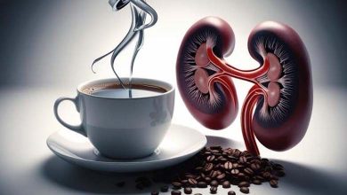 What does coffee do to your kidneys when you drink it every morning? Physiological effects, potential benefits, and limits of a daily habit