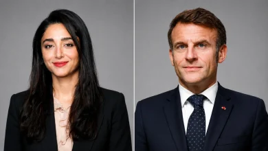 What is the link between an Iranian actress and the Macron slap?