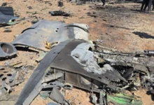 A Pilot Shot Down by Iran Delivers a Shocking Testimony: A Space Jellyfish Attacked Me