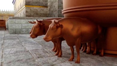 A Red Heifer and a Jewish Prophecy: Do They Signal Escalation in Jerusalem?