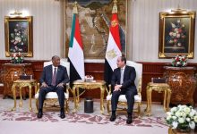 Between Neighbourhood and Interests: How Have Egyptian Moves Influenced the Complexity of the Sudanese Crisis?