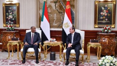 Between Neighbourhood and Interests: How Have Egyptian Moves Influenced the Complexity of the Sudanese Crisis?