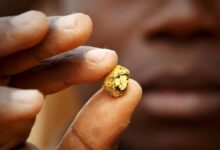 Blood Beneath the Gold: Details of the Night of Terror at the Jabal Al-Aqaydat Mines and Survivors’ Testimonies