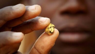 Blood Beneath the Gold: Details of the Night of Terror at the Jabal Al-Aqaydat Mines and Survivors’ Testimonies