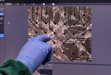 Brain cells on a chip learn to fight in a video game!