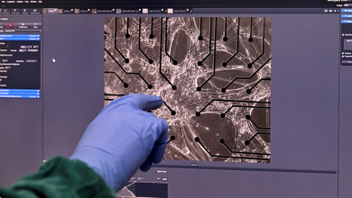 Brain cells on a chip learn to fight in a video game!