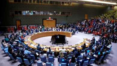 Enemy Brothers: Austria and Germany Locked in a Fierce Battle for a United Nations Security Council Seat