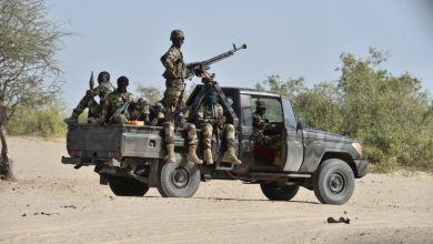 From the Heart of Boko Haram Strongholds: Nigerian Army Frees 360 Hostages in Borno